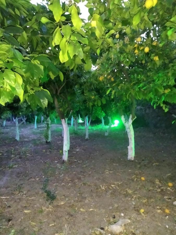 Вілла Περιβόλι Του Οδυσσέα Volissos Екстер'єр фото