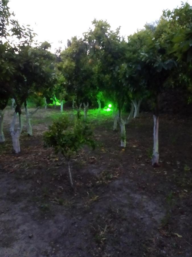 Вілла Περιβόλι Του Οδυσσέα Volissos Екстер'єр фото